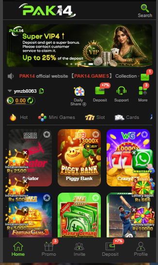 User Interface