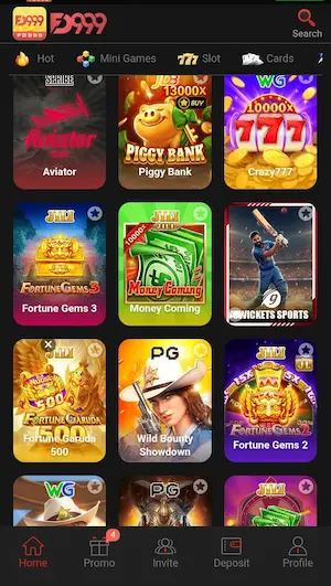 FD999 Game