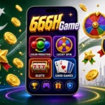 666h