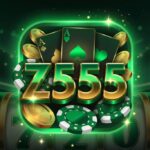 z555