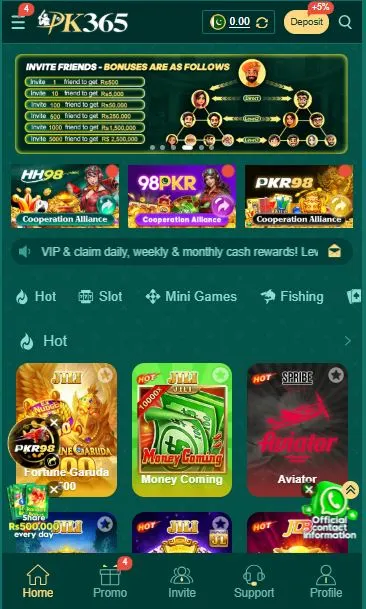 game interface