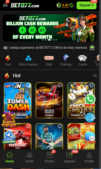 Users Interface