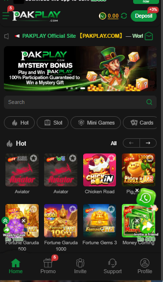 Users Interface