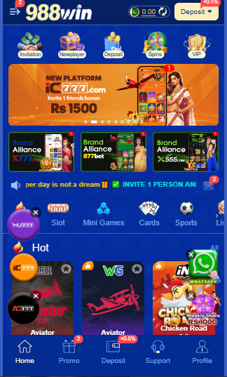 Users Interface